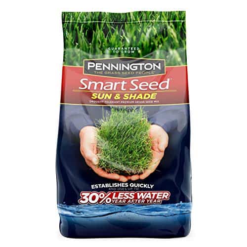 Top 10 Best Grass Seed For Overseeding In 2021 Expert's Review