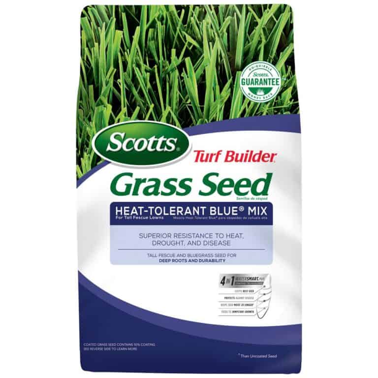 Top 10 Best Grass Seed For Overseeding In 2021 - Expert's Review ...