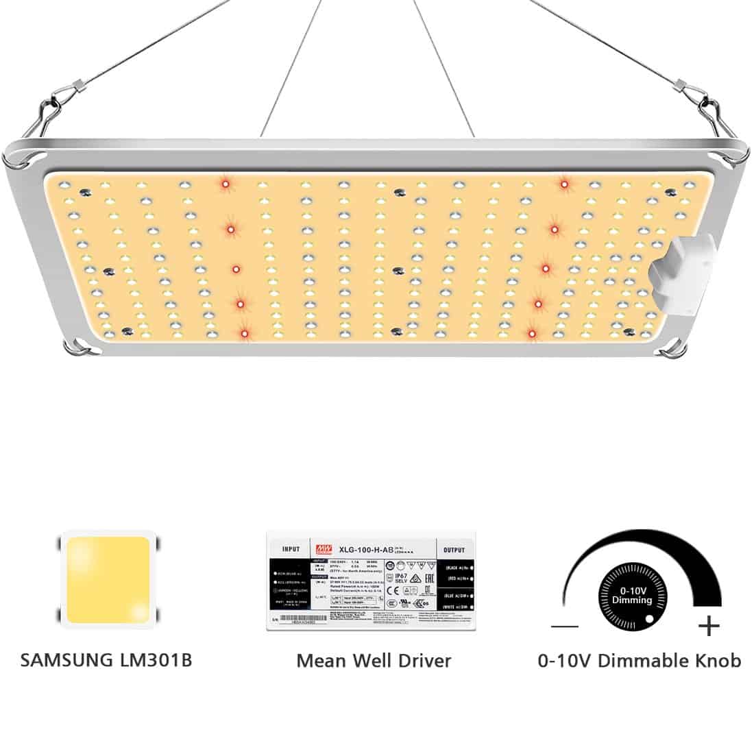 Top 13 Best Led Light For 4x4 Grow Tent Expert's Review 2021 Garden