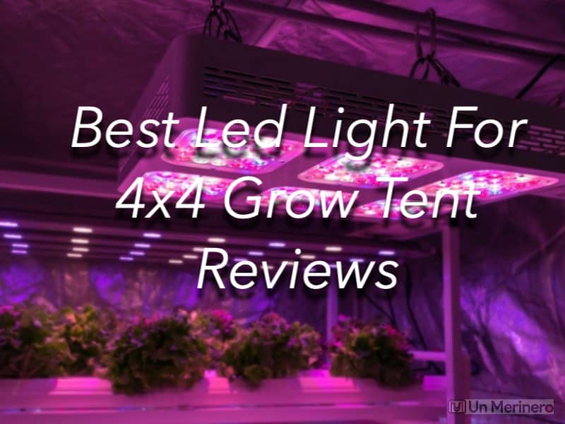 Top 14 Best LED Light For 4×4 Grow Tent – Expert’s Review 2023
