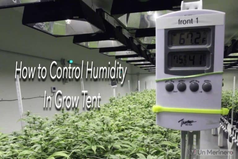 How To Control Humidity In Grow Tent Garden Synthesis