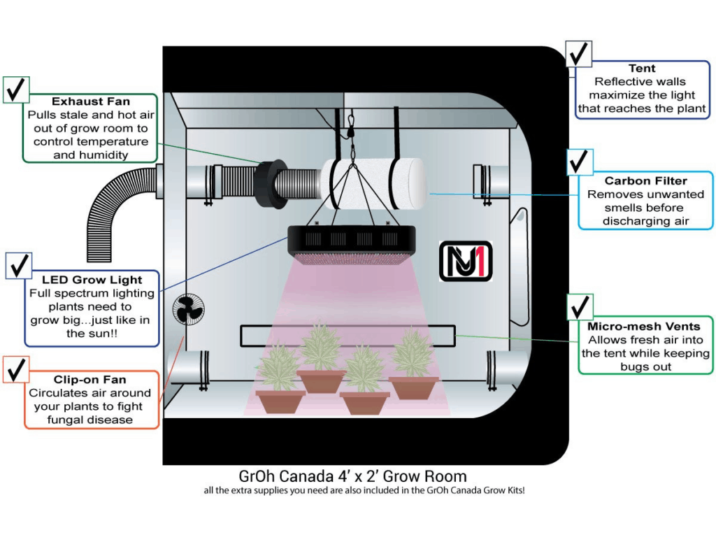 how-should-you-set-up-your-grow-tent-step-by-step-guide