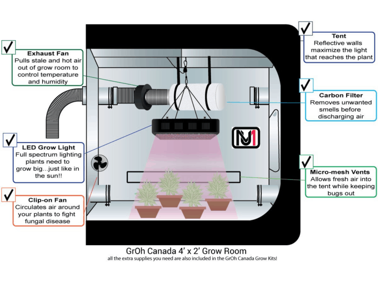 How Should You Set up Your Grow Tent? Step By Step Guide