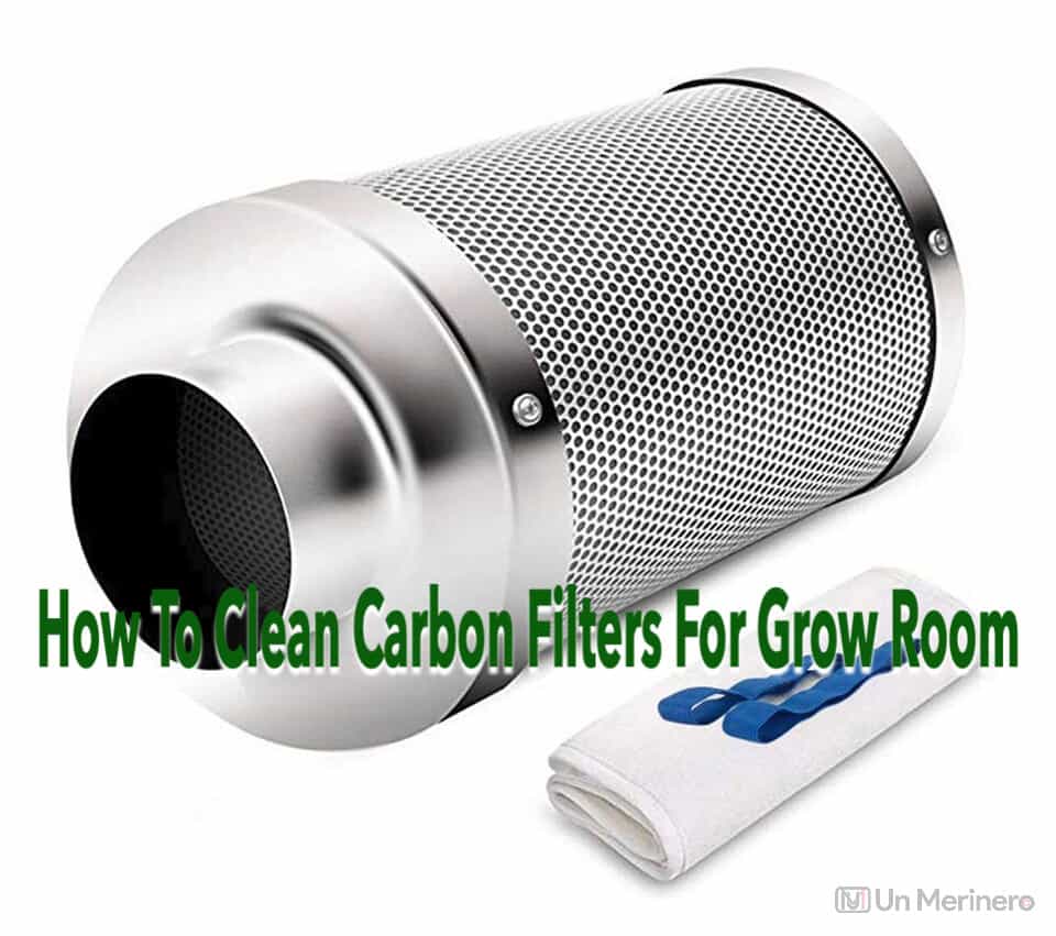 How To Clean Carbon Filters For Grow Room? Step By Step Guide
