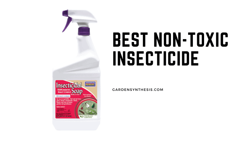 Bonide Insecticidal Soap - Best Non Toxic Insecticide