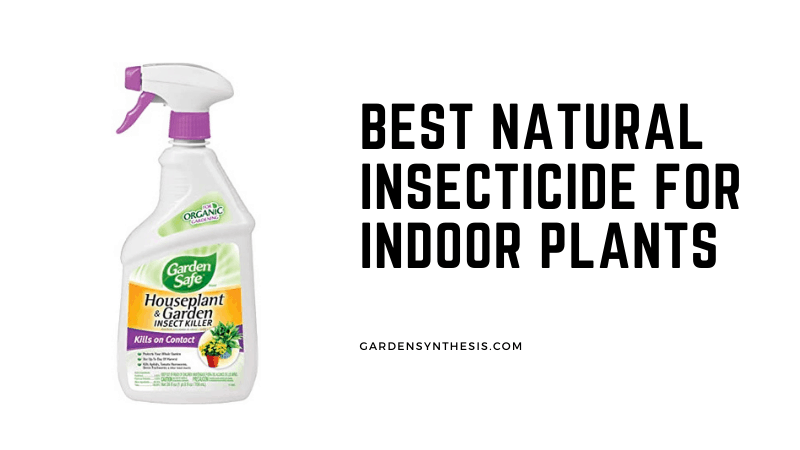 Garden Safe Insect Killer - Best Natural Insecticide For Indoor Plants