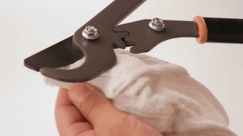 How To Clean The Pruning Shear