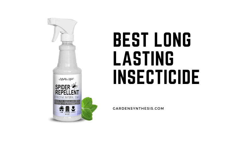 Mighty Mint Peppermint Oil - Best Long Lasting Insecticide