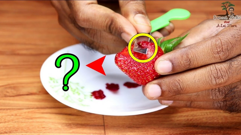 Step 3 - Extracting Seed From The Fruit Strawberries