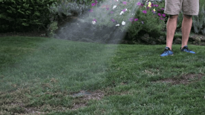 How Much Water Should You Give To The Grass
