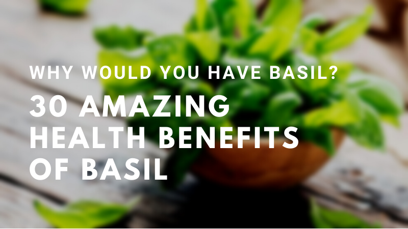 30 Amazing Health Benefits of Basil- Why Would You Have Basil?