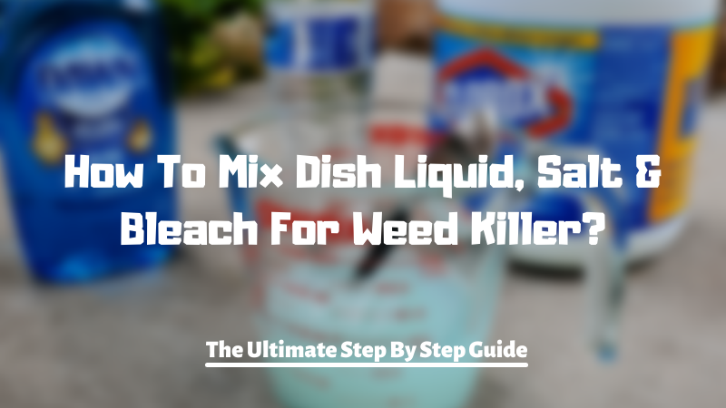 How To Mix Dish Liquid, Salt & Bleach For Weed Killer