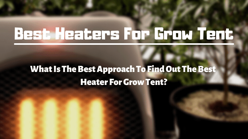 What Are The Types of Heaters for Grow Tents? 