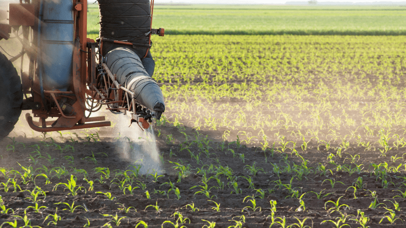 Fertilizer Vs. Pesticides: What's The Difference?