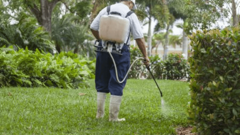 Will Broadleaf Herbicides Kill My Garden?