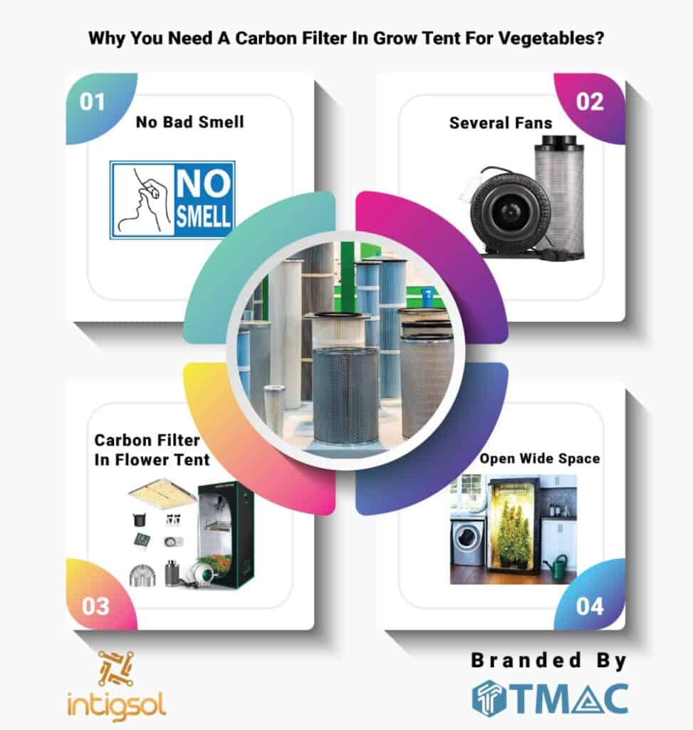Do You Need A Carbon Filter In Grow Tent For Vegetables?