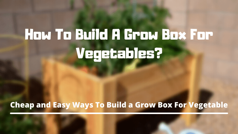 How To Build A Grow Box For Vegetables