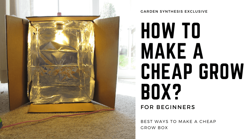 How To Make A Cheap Grow Box?